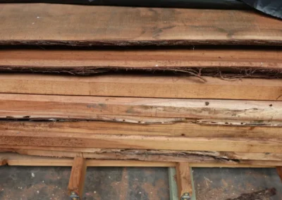 Gallery live edge Koa slabs
