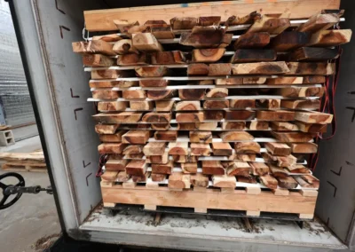 Gallery freshly milled Koa slabs